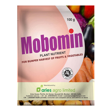 Aries Mobomin