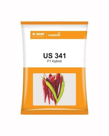 Nunhems US 341 Chilli Seeds | High Yield F1 Hybrid Red Chilli Seeds