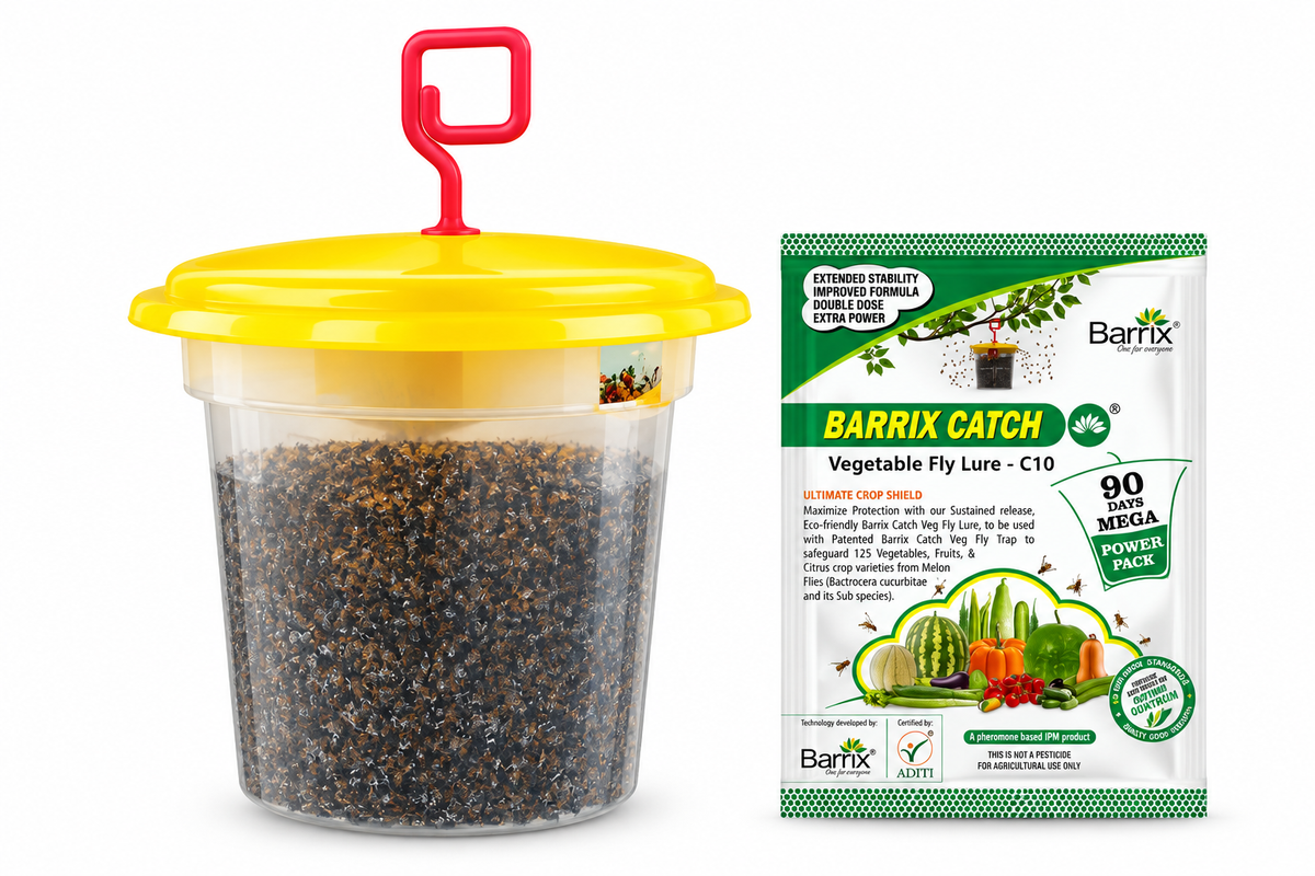 Barrix Catch Vegetable Fly Trap Set