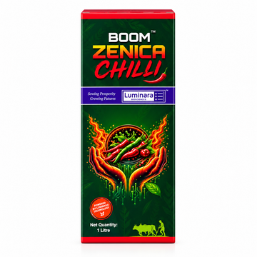 BOOM ZENICA Chilli Special