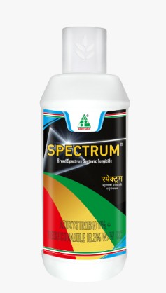 Dhanuka Spectrum fungicide bottle with label visible, broad-spectrum systemic fungicide for controlling fungal infections in various crops